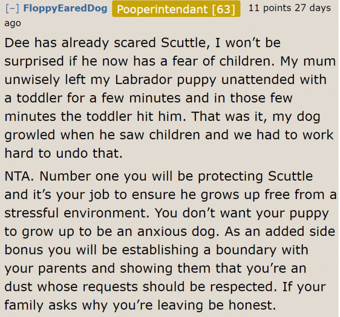 One bad experience can turn a dog into a fearful one.