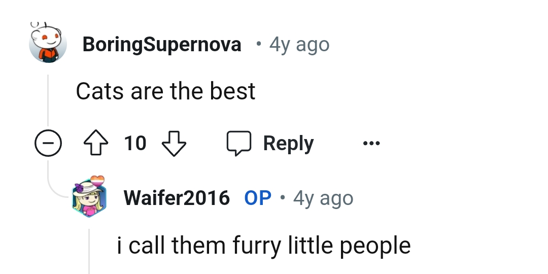 The OP refers to the cat as furry little people