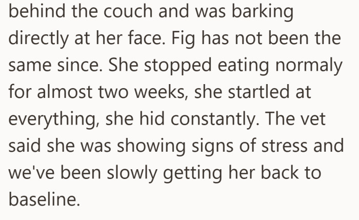 What looked like a quick scare turned into weeks of stress for the cat.