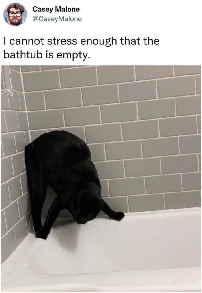 11. Well, you can't say the bathtub isn't empty...