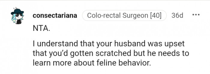 Your husband needs to learn more about feline behavior