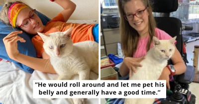 Adorable Moment Stray Cat Chose A Girl Using A Wheelchair As Its Family By Jumping Into Her Lap