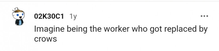 The worker who got replaced by crows