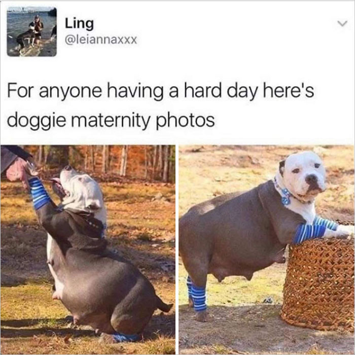 29. I laughed so hard at this... My bad