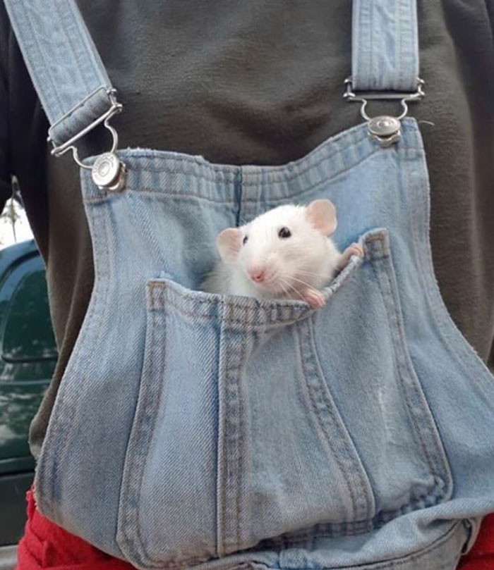 14. This is your personal little ride