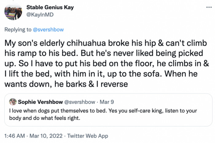 14. This pawrent has a sleeping schedule to adhere to every day, and his dog knows just how to signal for what he wants