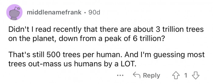 There are even more trees per human, but we used to have many more.