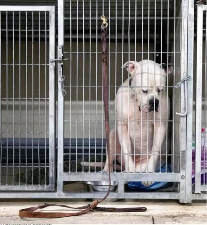 Ritter was terrified and scared when he suddenly lost his warm and beloved home