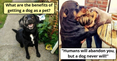 People Online Are Listing The Benefits Of Getting A Dog As A Pet, And Here Are Some Awesome Answers