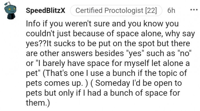 4. I Barely Have Space for Myself, Let Alone a Pet