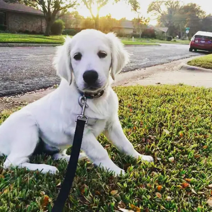 11. Doesn't he look like an angel? My angel