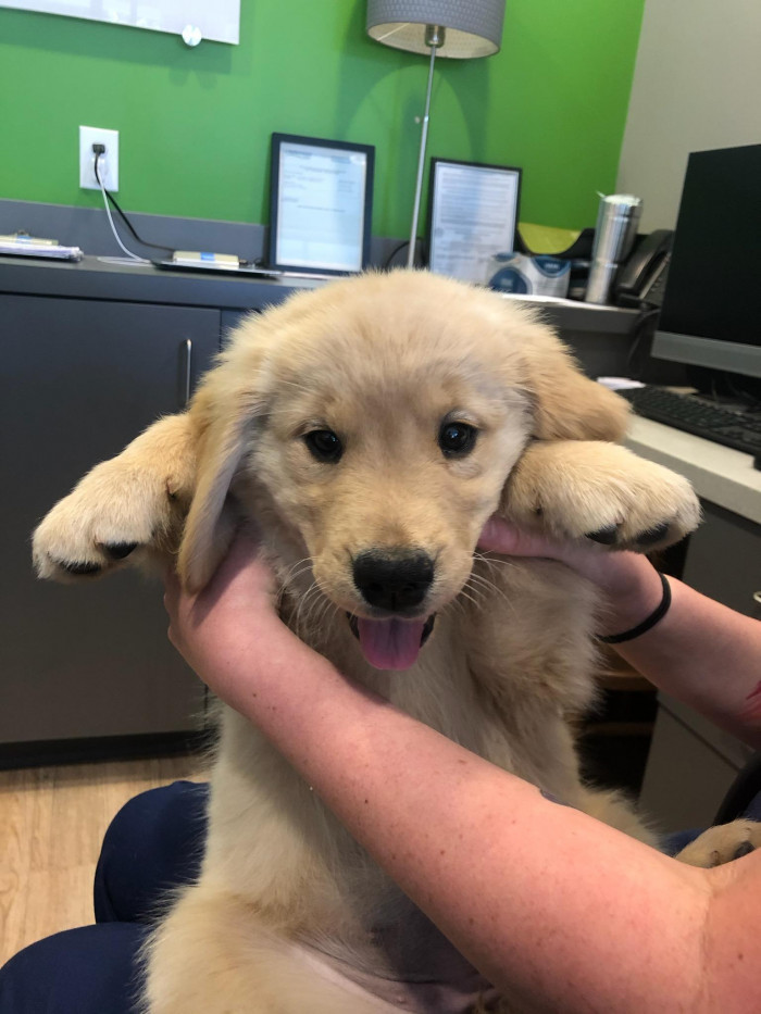 1. "My sister is a vet tech. She sends me pictures of her 'clients' sometimes."