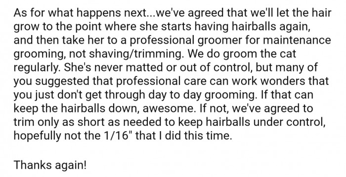 Ultimately, they've agreed to start taking their cat to a professional groomer for regular cuts
