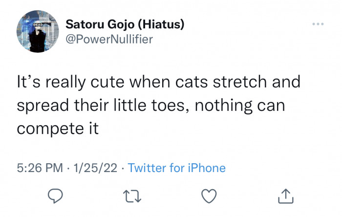 4. The bigger the stretch, the cuter.