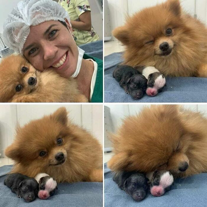 10. From operating room to nap room in four very emotional photos.