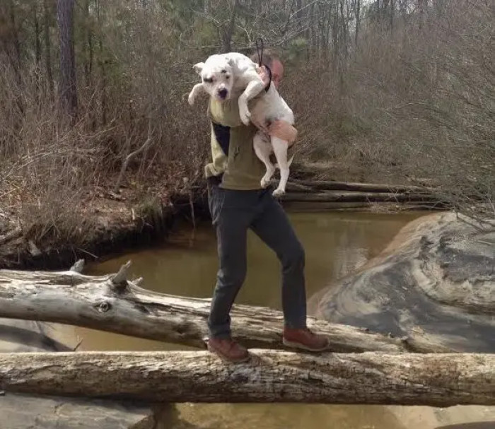 11. Crossing A Stream