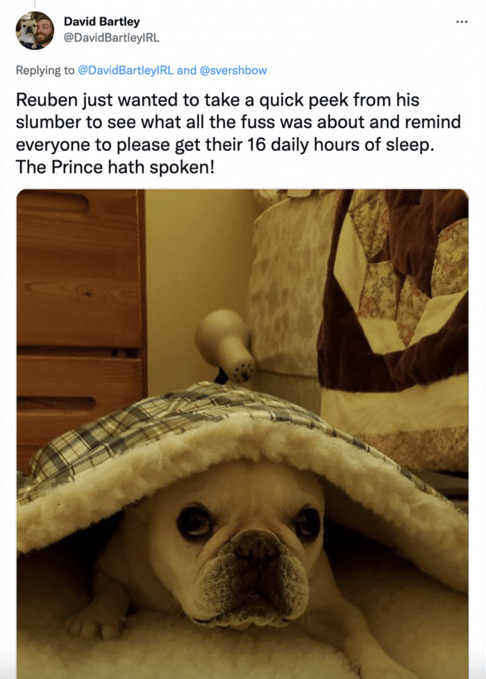 8. The prince is here to remind everyone to take their 16 hours of sleep daily