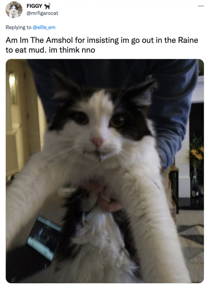 I think the mud wanted to play with him too, and who is he to deny the mud such a request?