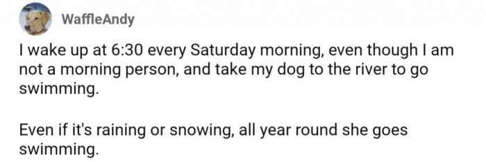 22. Early morning Saturday swim, year-round