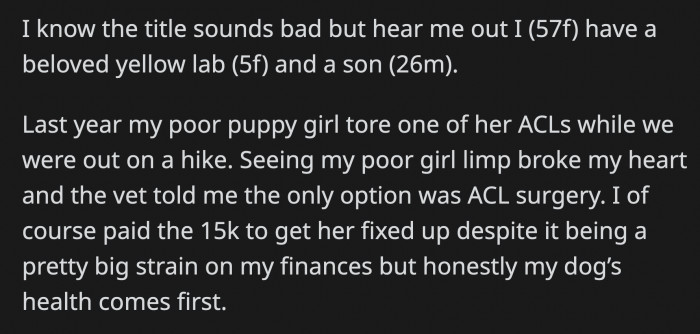 Below is OP's full post from Reddit: OP said she wants to help her son, but she has no idea how much the surgery will cost. Plus, they haven't financially recovered from her dog's surgery from a year ago.