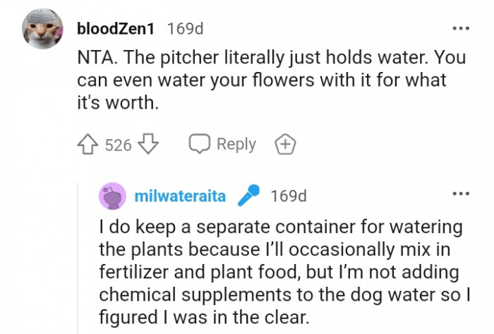 20. The pitcher literally just holds water