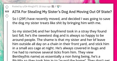Woman “Steals” Her Sister’s Dog and Takes It With Her to Another City to Save It from Maltreatment