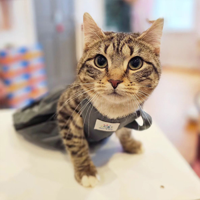 Sprinkle's life may be filled with numerous challenges, yet she faces them all with courage — just like how she recovered from her triple amputation.