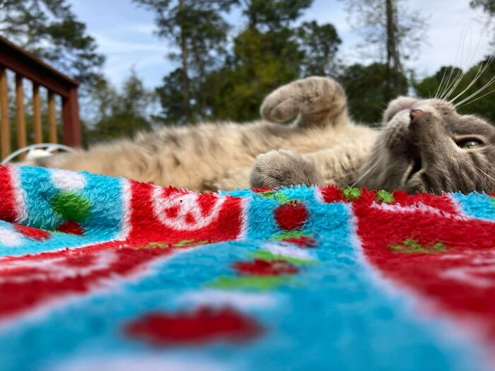 He saw a blanket. It was cold. He was only putting two and two together.