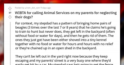 Daughter Wants To Call Animal Services On Her Parents For Neglecting Dogs They Bring Home