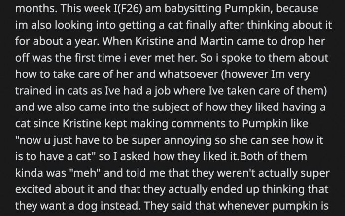 OP is worried that Pumpkin will become an outside cat if her sister can't wait that long to get a dog