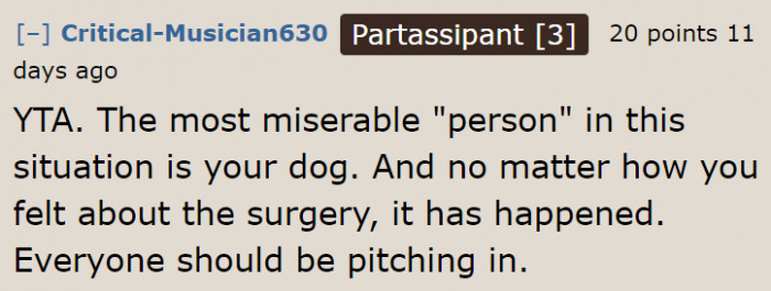 It's the old dog who suffers in the end.