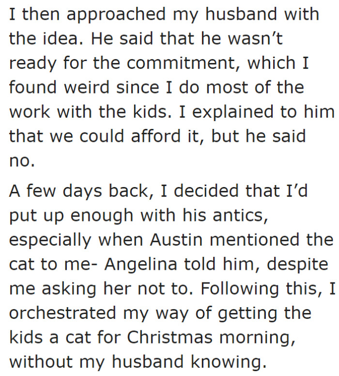 The husband wasn't ready to care for a cat, so he refused his wife's idea.