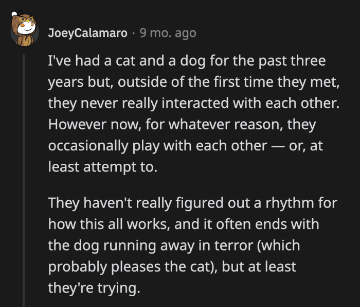 19. They are reluctant buddies