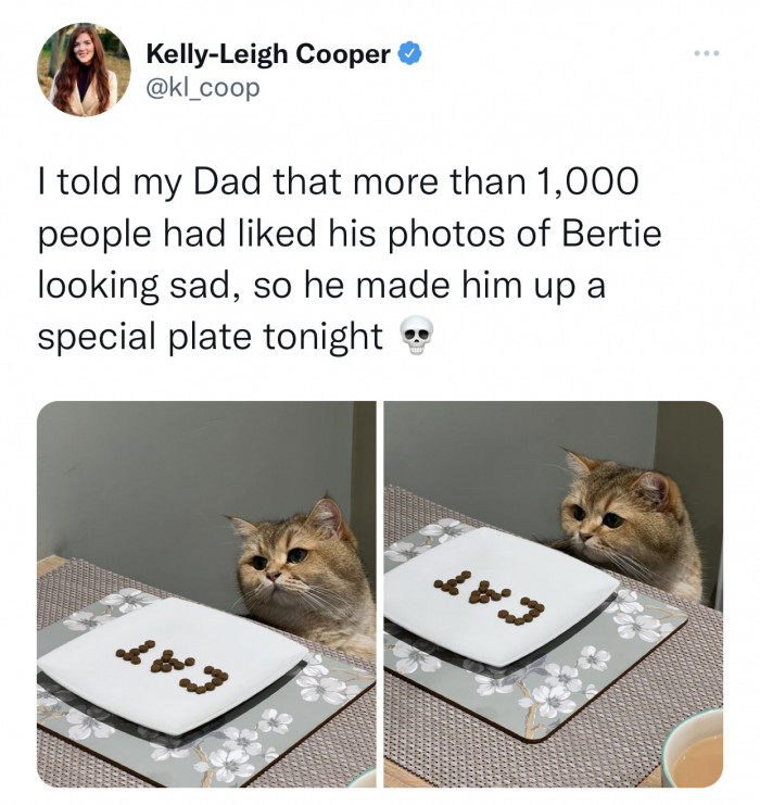 13. A special plate for a very special kitty.