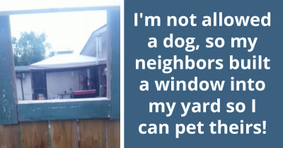 A Heartwarming Gesture - Neighbors Build A Window For Petting Furry Friends