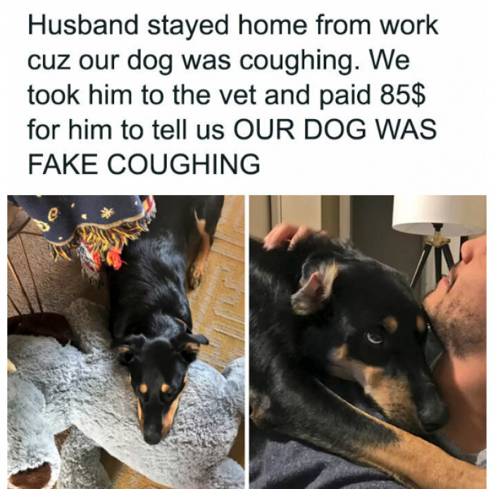 13. Goodbye, 85 bucks!