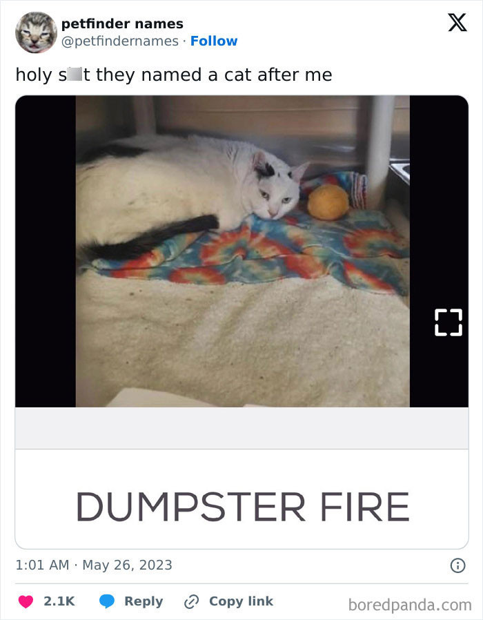 Dumpster Fire