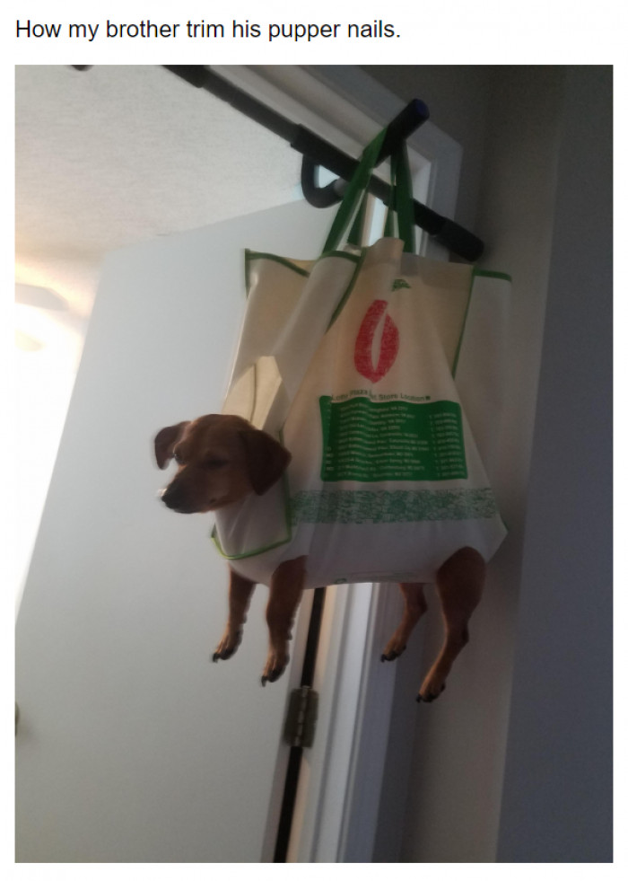 5. The guy is well-prepared.