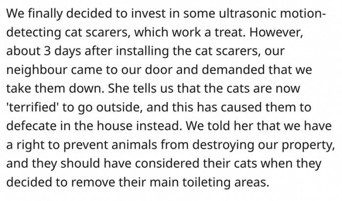 4. OP had installed ultrasonic motion-detecting cat scarers, and they did their job. No more cat poo in the yard. However, the neighbor came complaining. He told her she should have considered her cats before paving the yard.