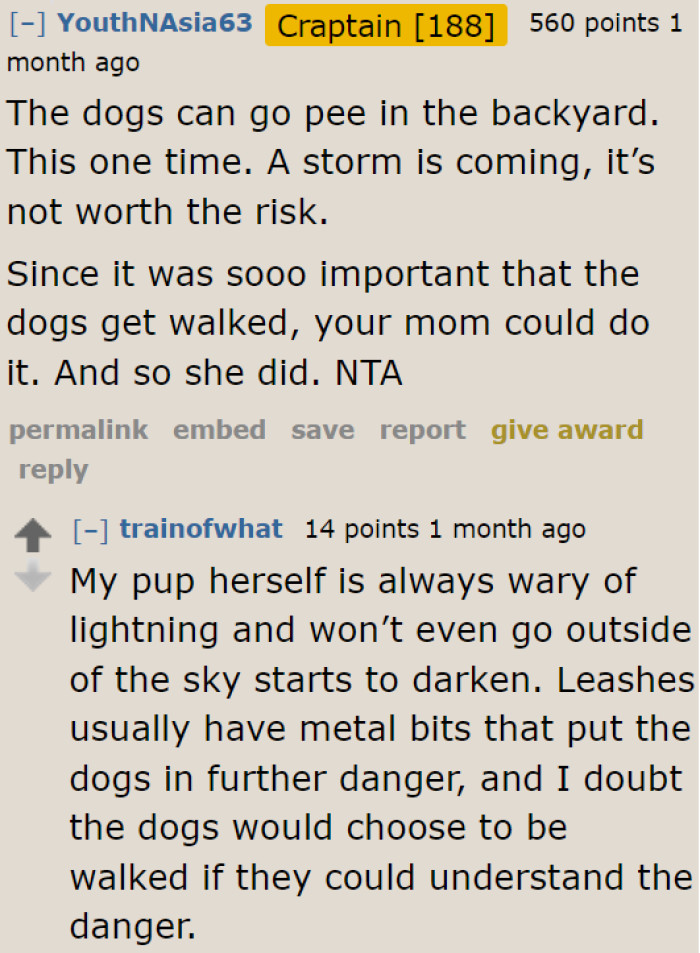 Why take the risk when the dogs can just pee in the backyard for the time being?