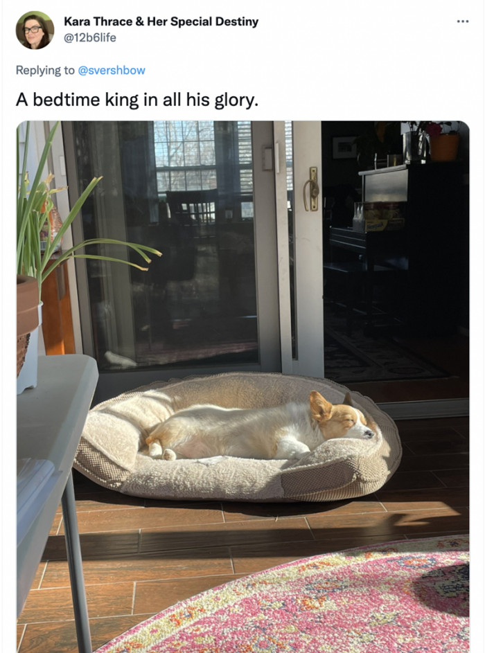 13. Just lying there and enjoying his well-deserved noon sleep