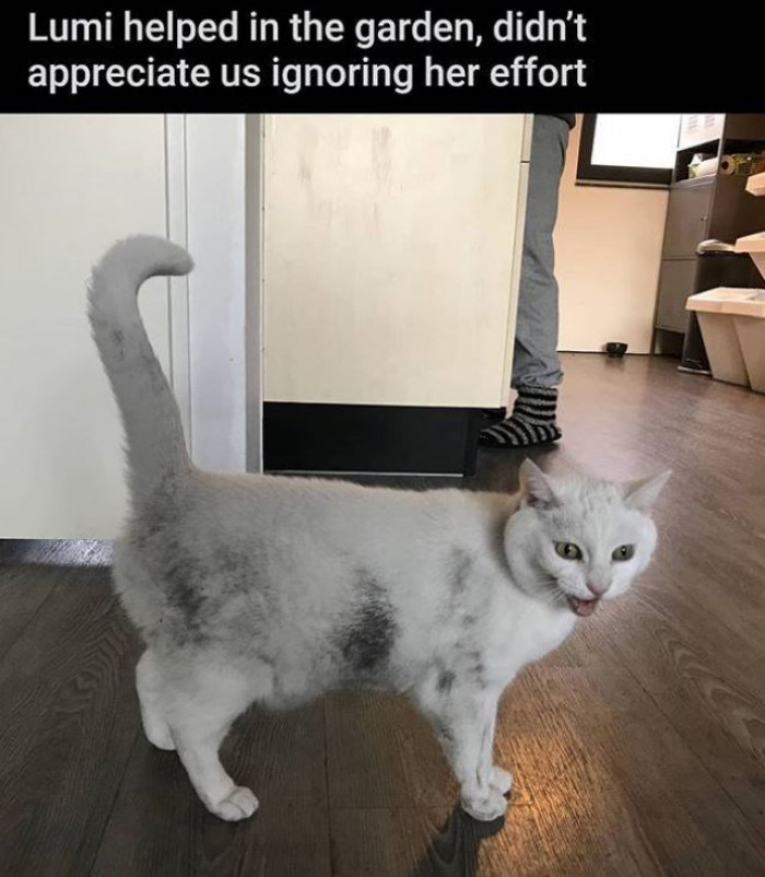 4. She deserves her reward.