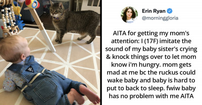 Cats Take Over Their Owners’ Accounts And Ask Netizens To Weigh In On "AITA" Questions That Are Too Funny