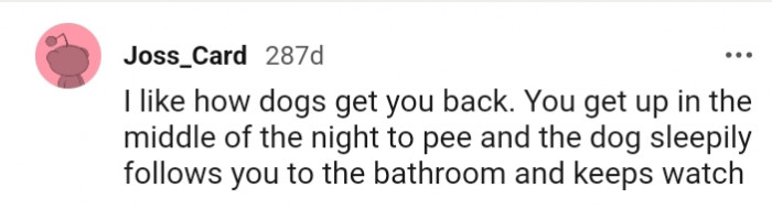 8. Dogs always have your back