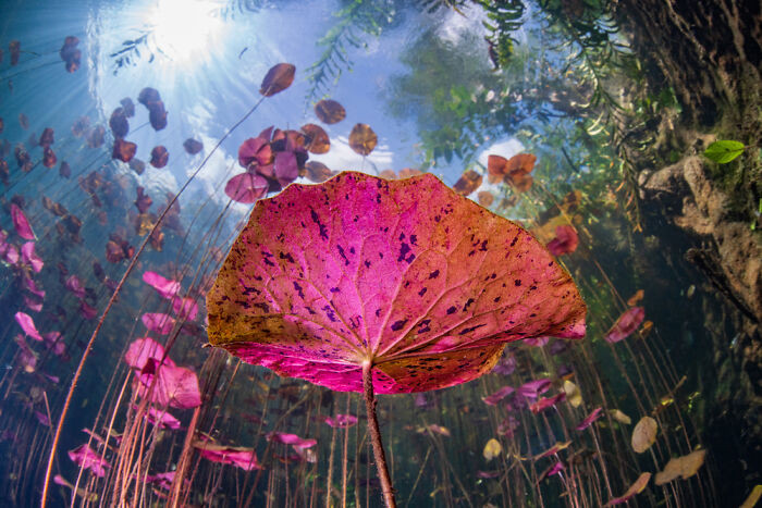 Runner Up, Landscape, Weather & Climate Portfolio: Suliman Alatiqi, Kuwait