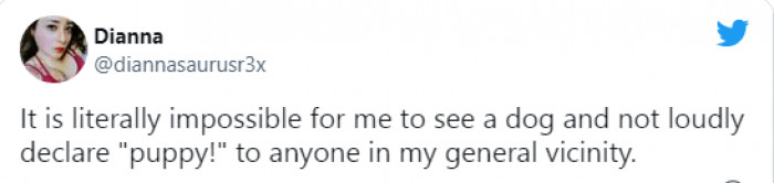 12. When you come in contact with something you love, and you're just so excited to tell the whole world
