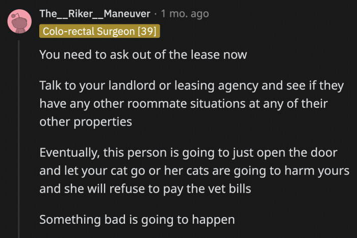 This Means That OP Has to Be More Vigilant with How Her Roommate Treats Her Cat Because She Might Do Something Unthinkable to Force OP to Leave.
