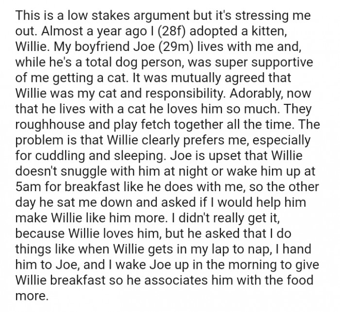 It was mutually agreed that Willie was the OP's cat