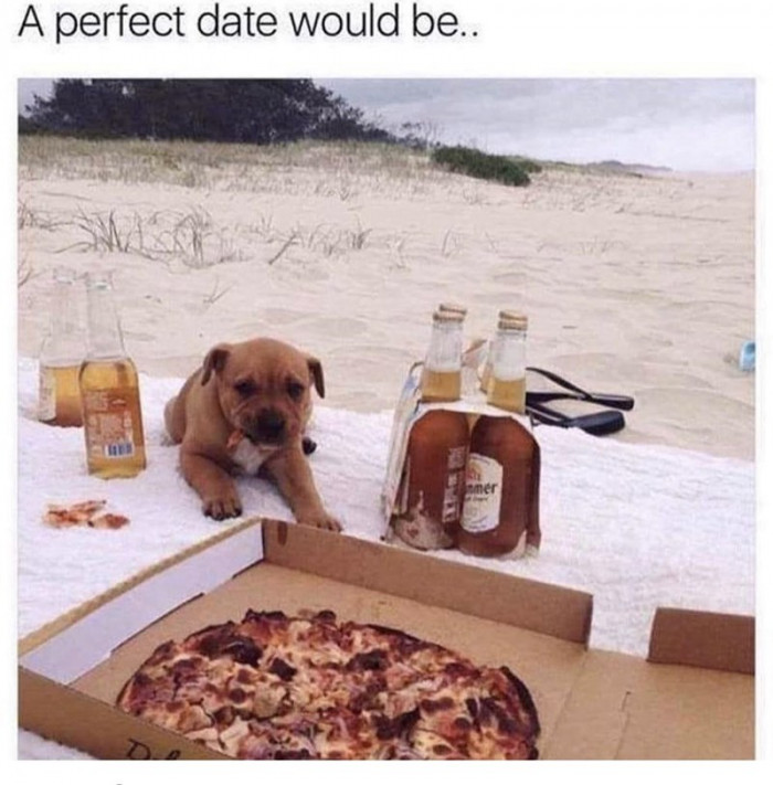 5. Going out with your little furry companion is the best date ever