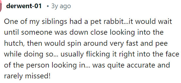 It seems like rabbits aren't always nice, and they can have some pretty bad tendencies. We've heard multiple stories where people have had negative experiences with rabbits.